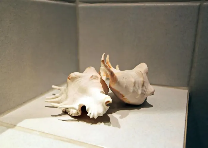 Windspiel Lägenhet *